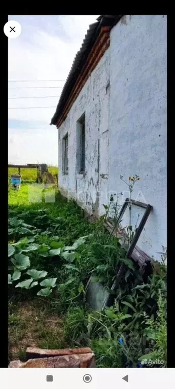 1-к кв. Новосибирская область, Черепановский район, с. Татарка ... - Фото 1