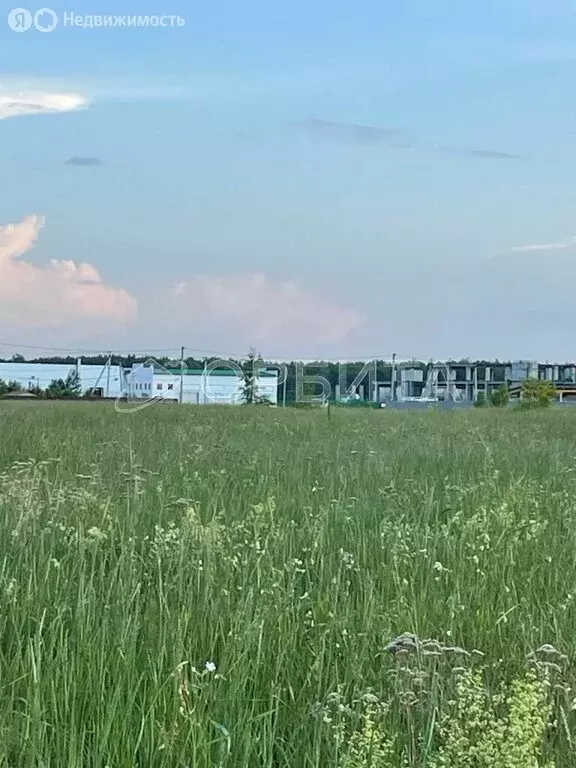 Участок в Тюменский район (16.9 м) - Фото 1