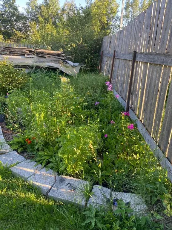 Участок в Новгородская область, Новгородский район, Ермолинское с/пос, ... - Фото 1