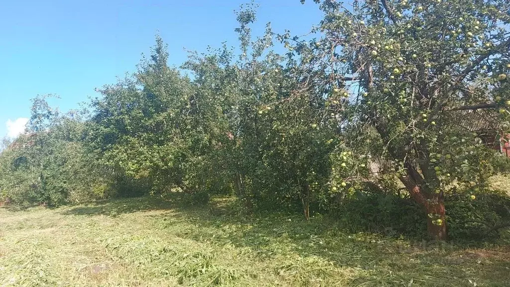 Дом в Московская область, Шатура муниципальный округ, с. Кривандино ... - Фото 2