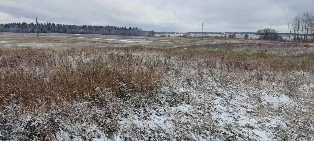 Участок в Ленинградская область, Ломоносовский район, Лопухинское ... - Фото 0