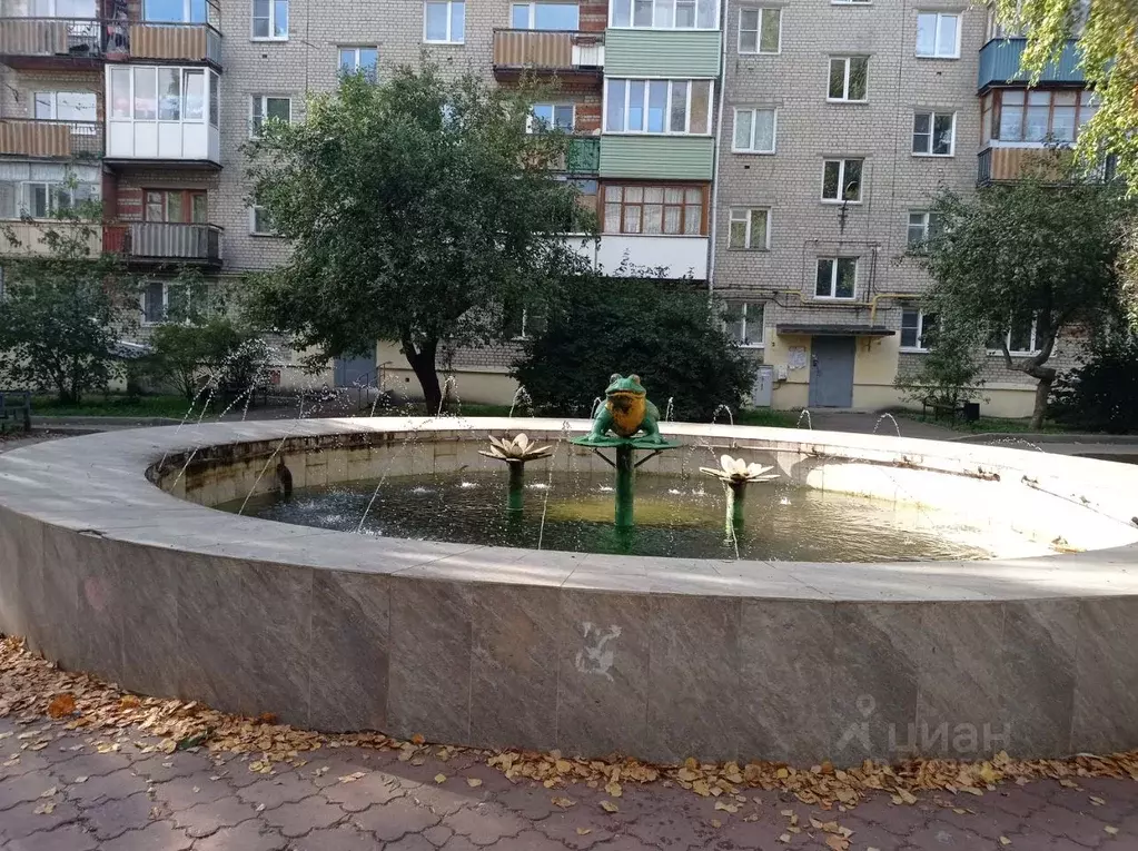 1-к кв. Нижегородская область, Бор ул. Ленина, 144 (30.1 м) - Фото 1