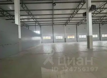 Склад в Ленинградская область, Отрадное Кировский район, Ленинградское ... - Фото 1