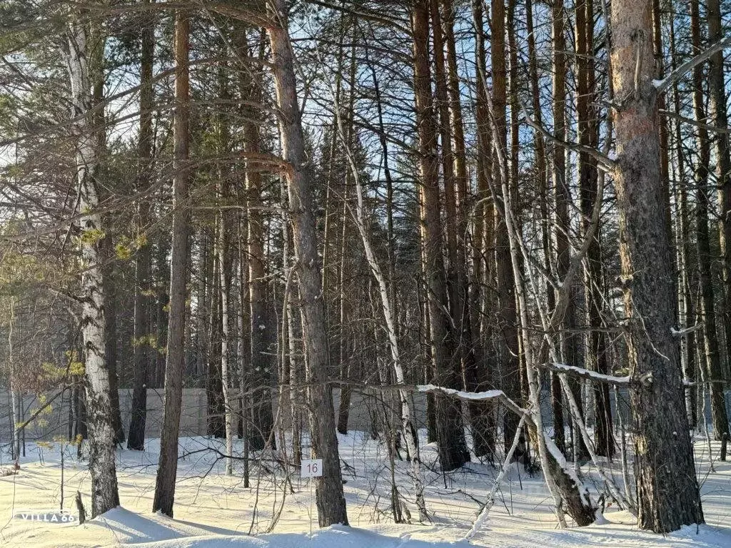 Участок в Свердловская область, Сысертский городской округ, пос. ... - Фото 0