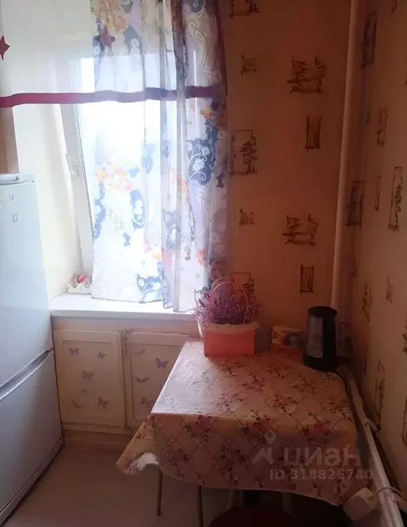 1-к кв. Пермский край, Пермь ул. Героев Хасана, 97 (20.0 м) - Фото 1
