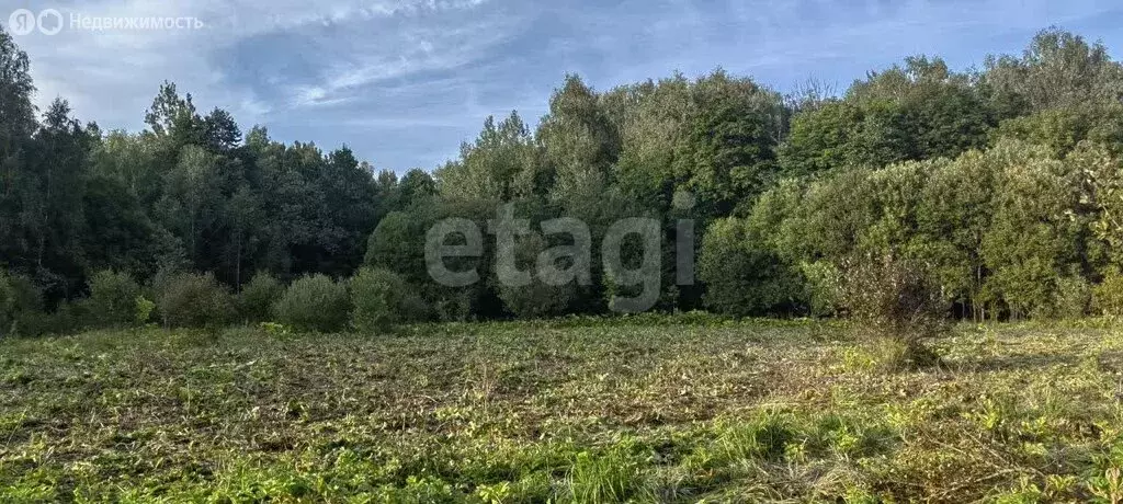 Участок в Заокский район, сельское поселение Страховское (39 м) - Фото 2