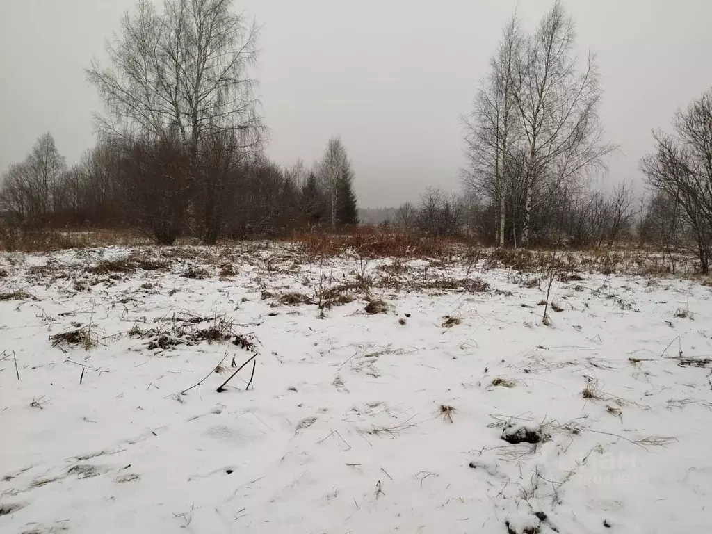 Участок в Вологодская область, Вологда Сиреневая ул. (12.8 сот.) - Фото 1