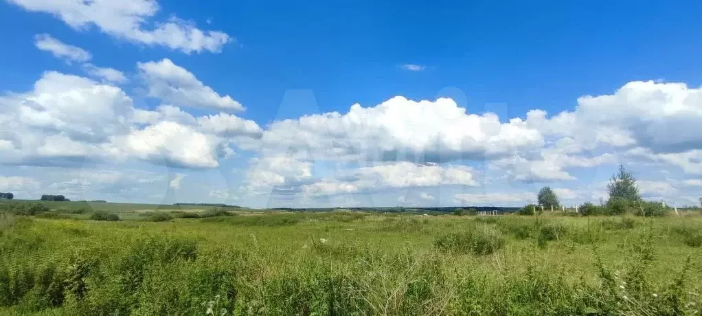 Участок 10 га (СНТ, ДНП) - Фото 1