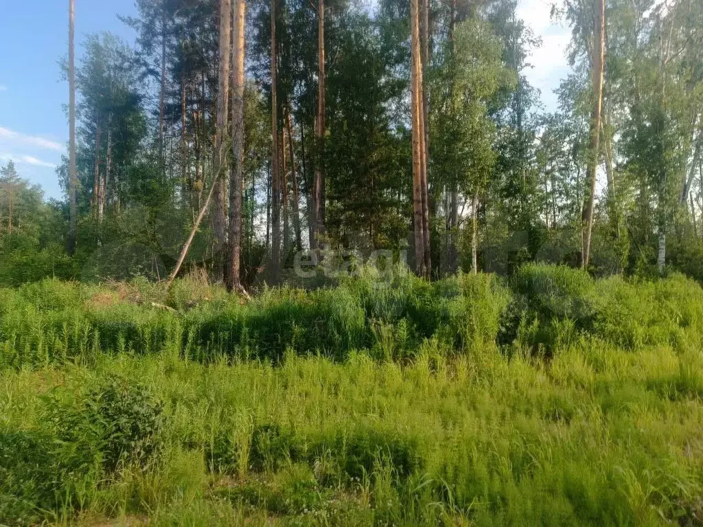 Участок 15 сот. (личное подсобное хозяйство (лпх)) - Фото 0