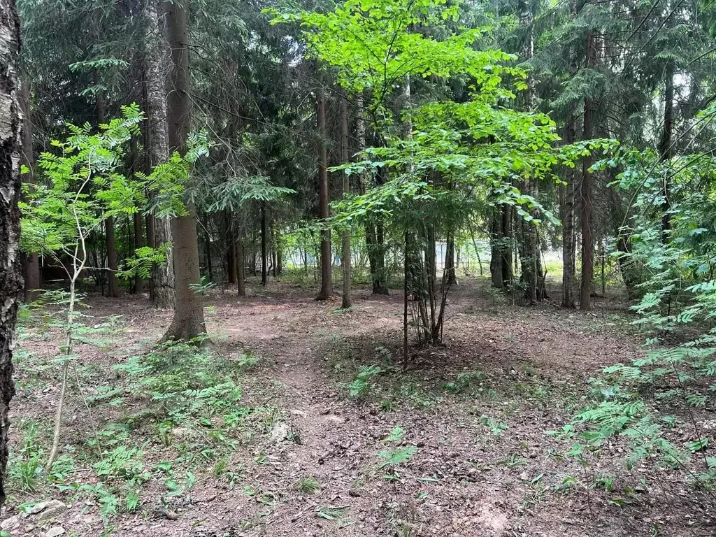 Участок в Московская область, Одинцовский городской округ, с. ... - Фото 1