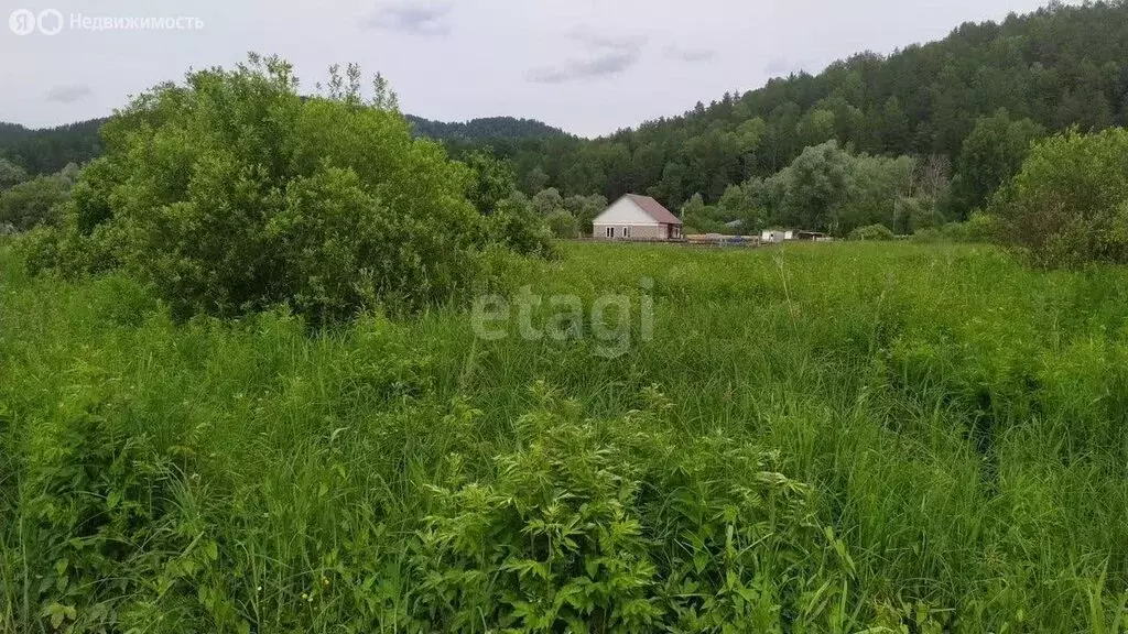 Участок в Майминский район, посёлок Филиал, улица Мира (10 м) - Фото 0