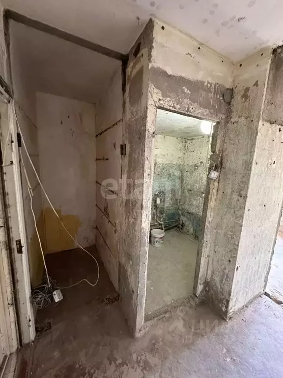 1-к кв. Краснодарский край, Новороссийск ул. Михаила Борисова, 15А ... - Фото 1