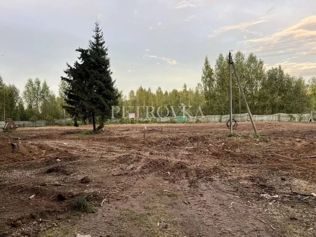 Участок в Московская область, Дмитровский муниципальный округ, д. ... - Фото 1