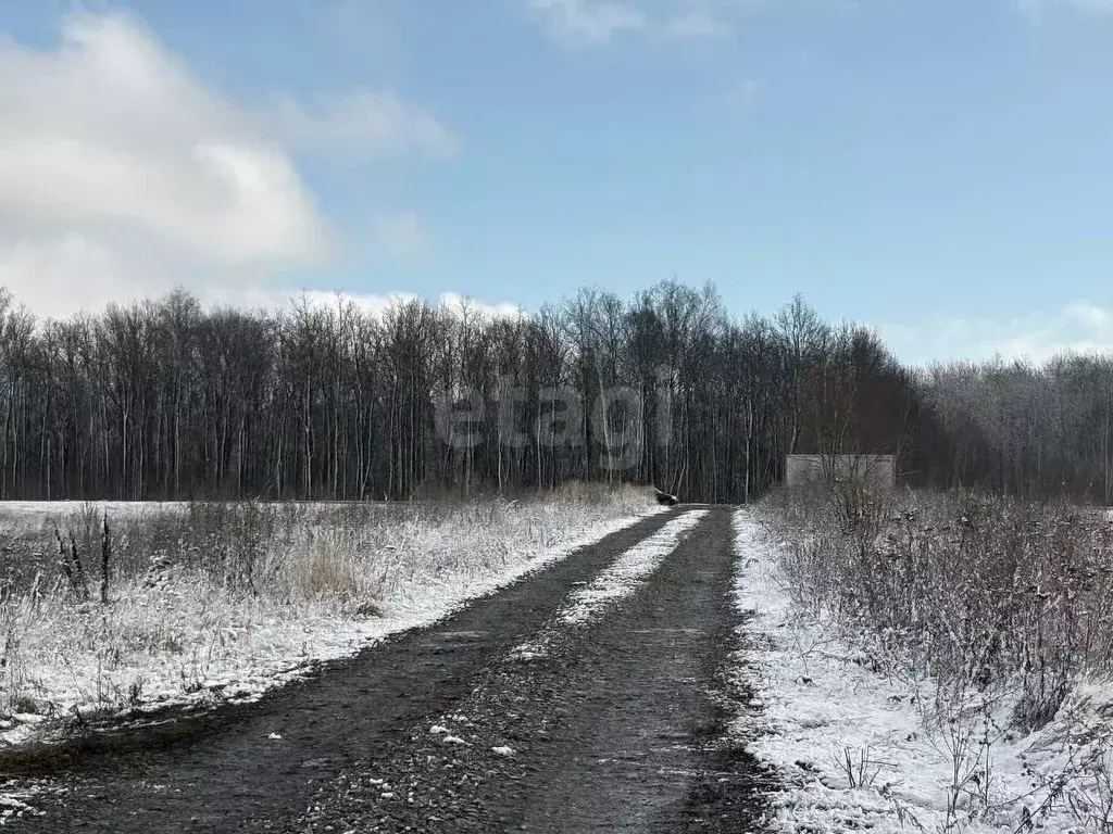Участок в Мордовия, Саранск Восход садоводческое товарищество,  (4.0 ... - Фото 1