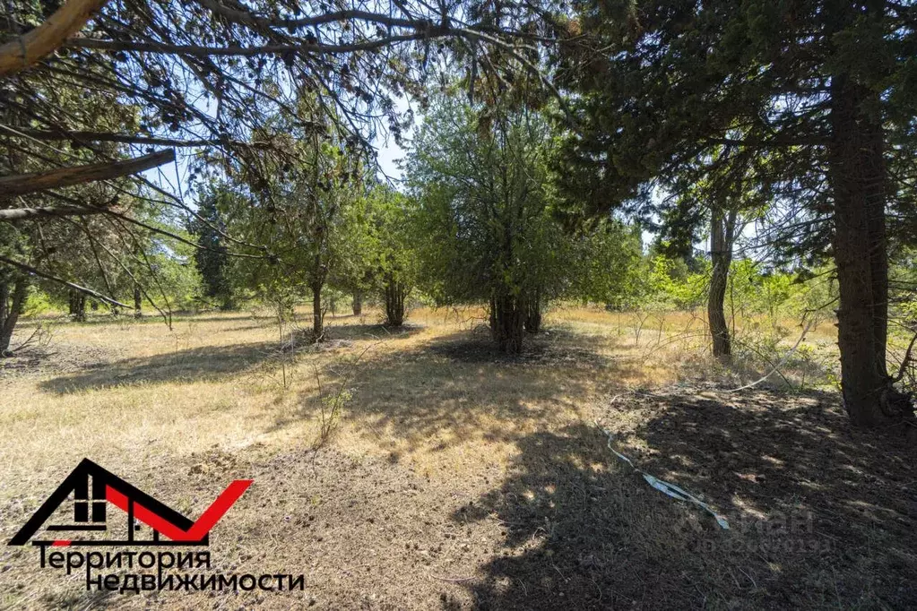 Участок в Севастополь ТСН СНТ РМЗ тер., 134 (4.0 сот.) - Фото 1
