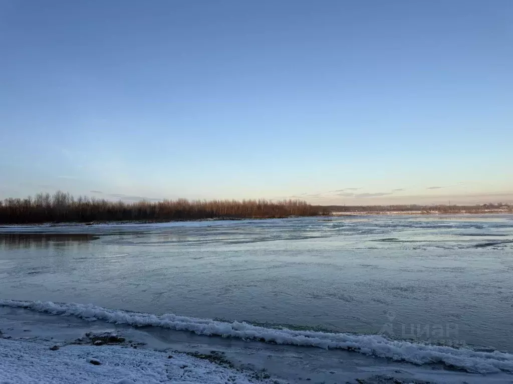 3-к кв. Алтайский край, Бийск ул. Льнокомбинат, 83 (49.4 м) - Фото 2