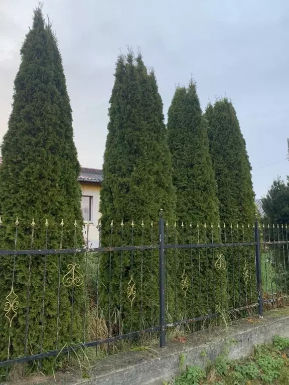 Дом в Калининградская область, Багратионовский муниципальный округ, ... - Фото 1