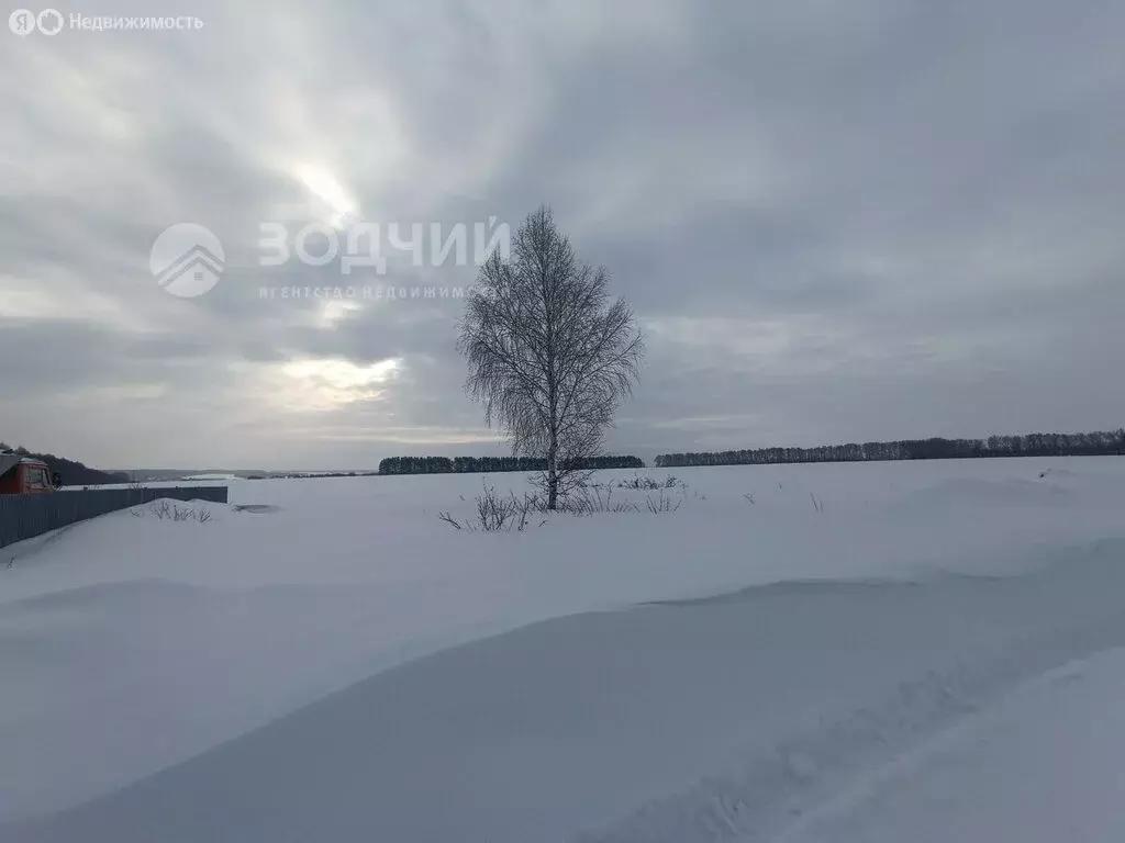 Участок в Цивильск, улица Павла Иванова (9 м) - Фото 1