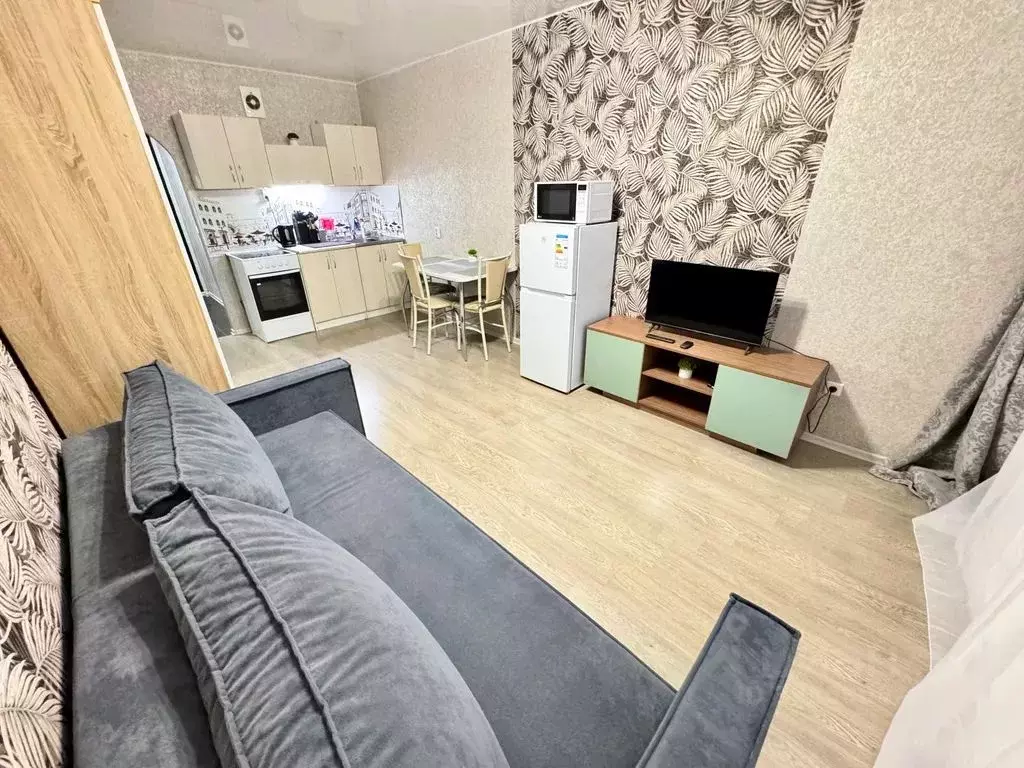Студия Кировская область, Киров ул. Энтузиастов, 15 (25.0 м) - Фото 2