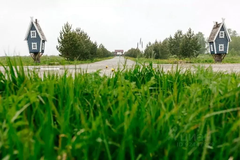 Участок в Тверская область, Зубцовский муниципальный округ, д. ... - Фото 1