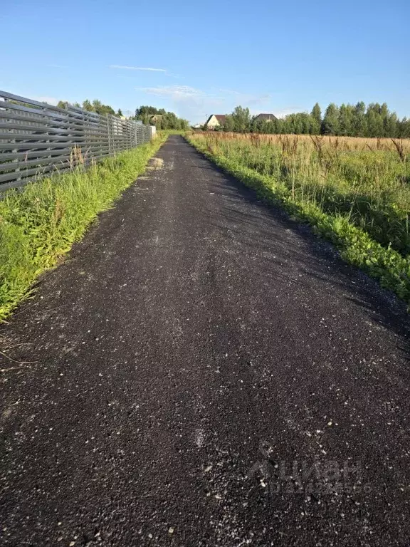 Участок в Московская область, Дмитровский муниципальный округ, д. ... - Фото 2