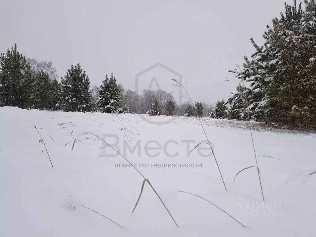 Участок в Новосибирская область, Ордынский район, Шараповское ДНТ ул. ... - Фото 2