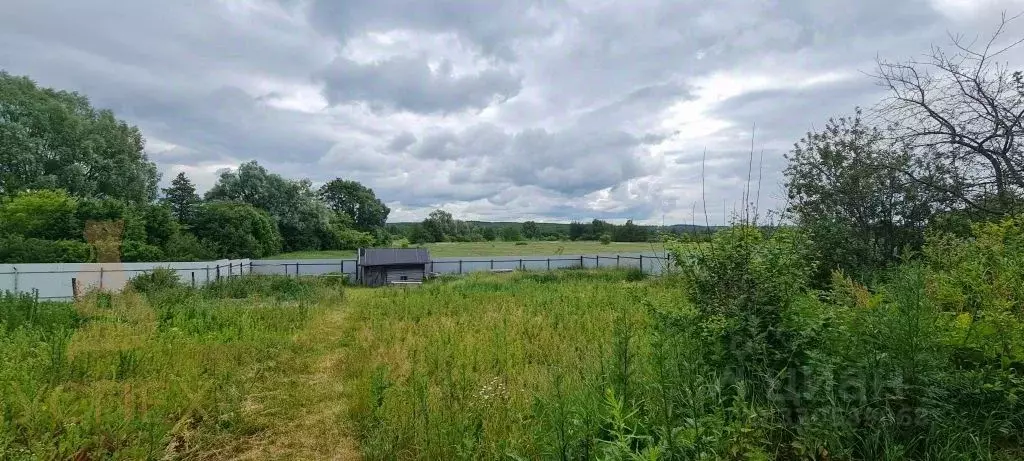 Участок в Нижегородская область, Богородский муниципальный округ, д. ... - Фото 0