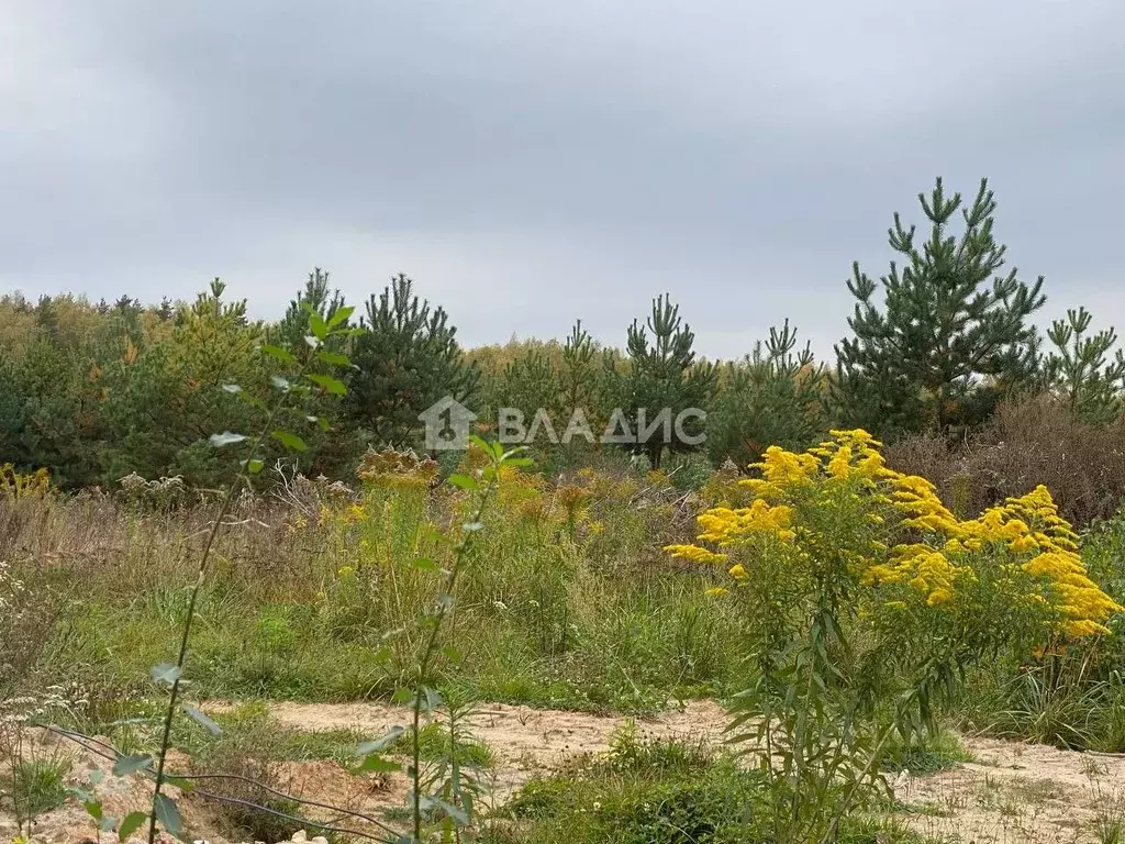 Участок в Владимирская область, Владимир д. Уварово,  (7.5 сот.) - Фото 0