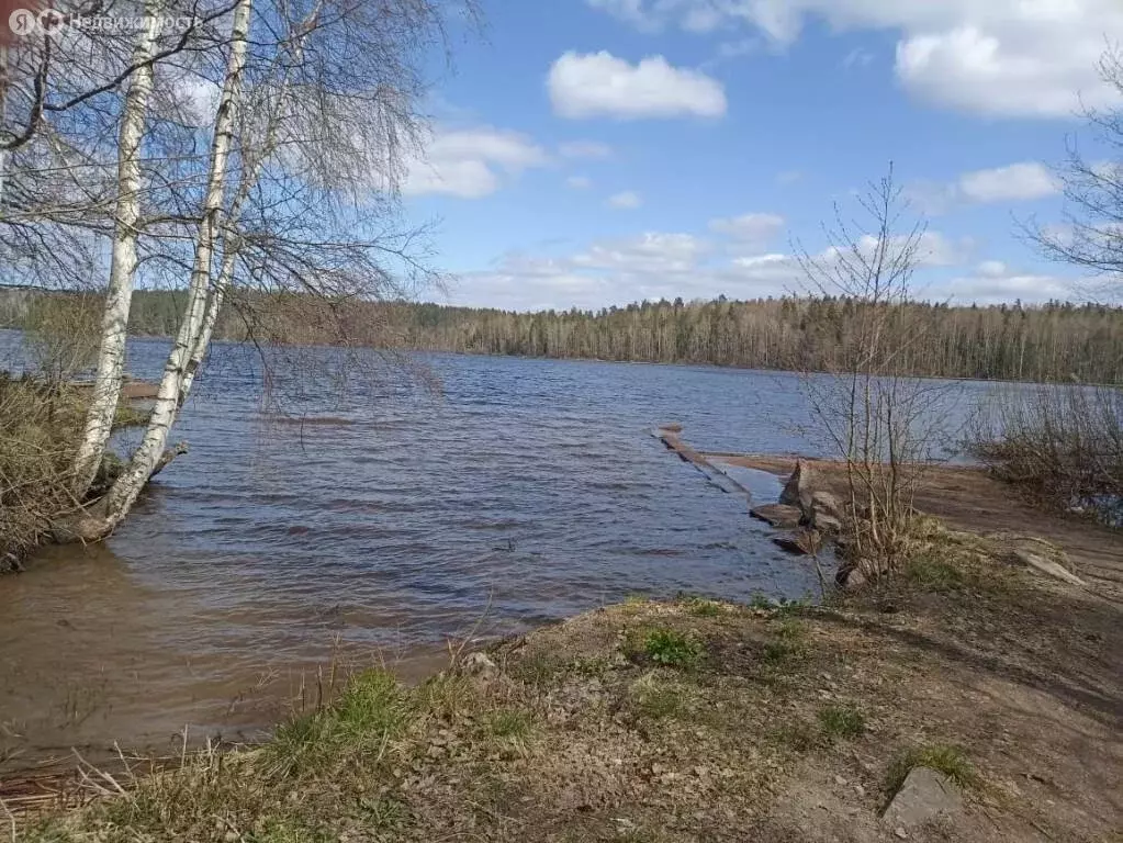 Дом в Выборг, СНТ Механизатор, 4-я Спокойная улица (50 м) - Фото 1