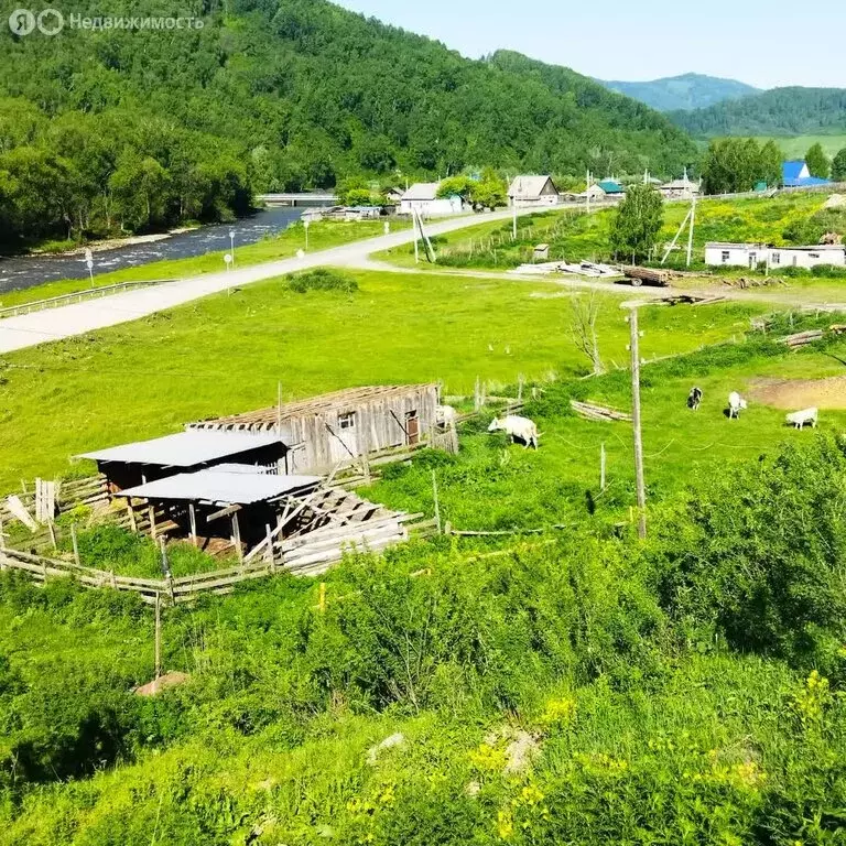 Участок в Солонешенский район, село Топольное (21.66 м) - Фото 2