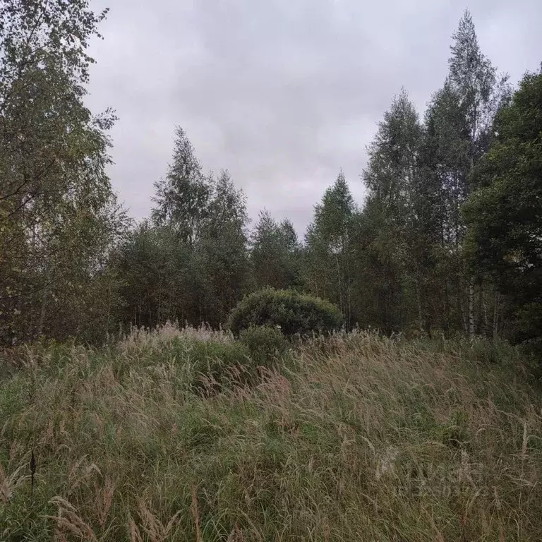 Участок в Московская область, Павлово-Посадский городской округ, д. ... - Фото 1