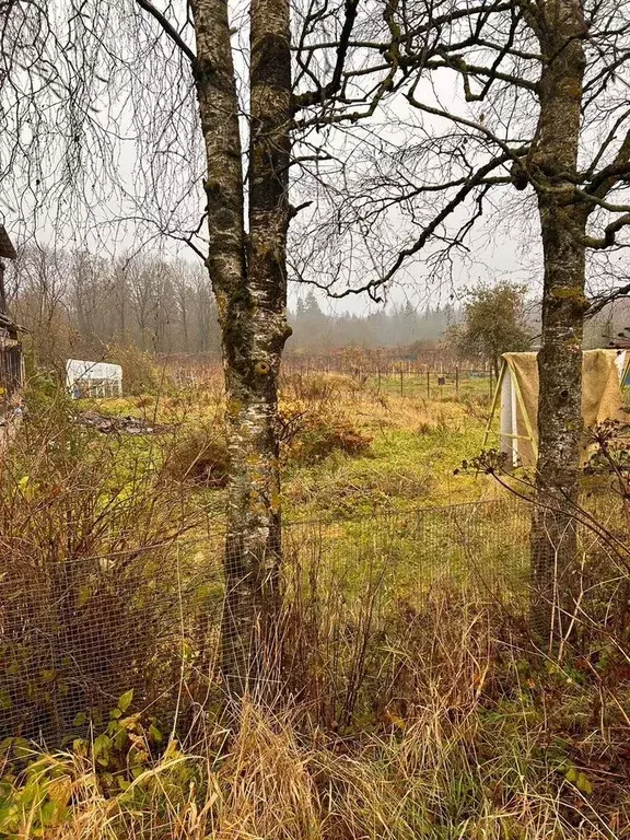 Участок в Ленинградская область, Лужский район, Володарское с/пос, д. ... - Фото 2