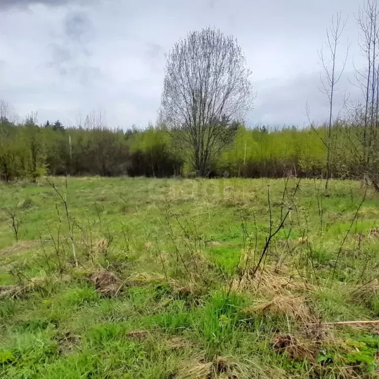 Участок в Ленинградская область, Тосненский район, Любанское городское ... - Фото 0