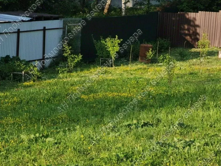 Участок в Московская область, Солнечногорск городской округ, СНТ ... - Фото 1