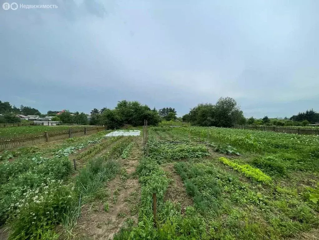 Дом в Ивановка, улица Кирова, 33 (39.1 м) - Фото 0