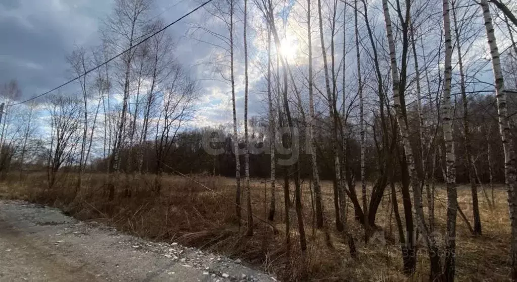 Участок в Тульская область, Тула городской округ, д. Струково, Поле 2 ... - Фото 1