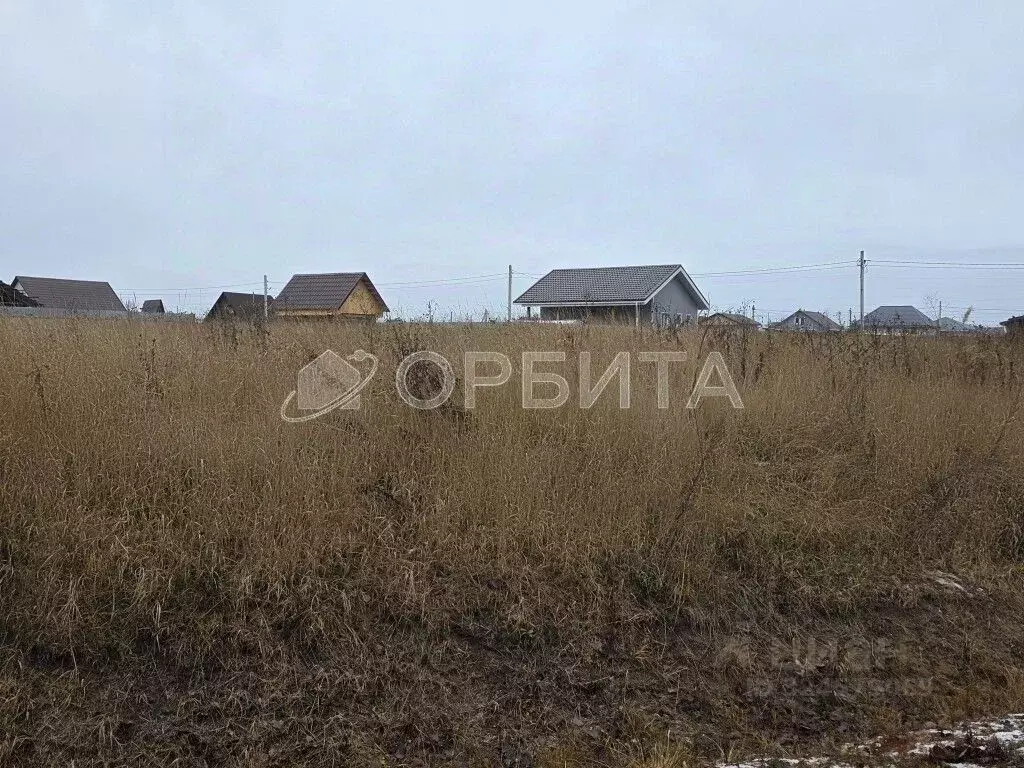 Участок в Тюменская область, Тюменский муниципальный округ, д. ... - Фото 2