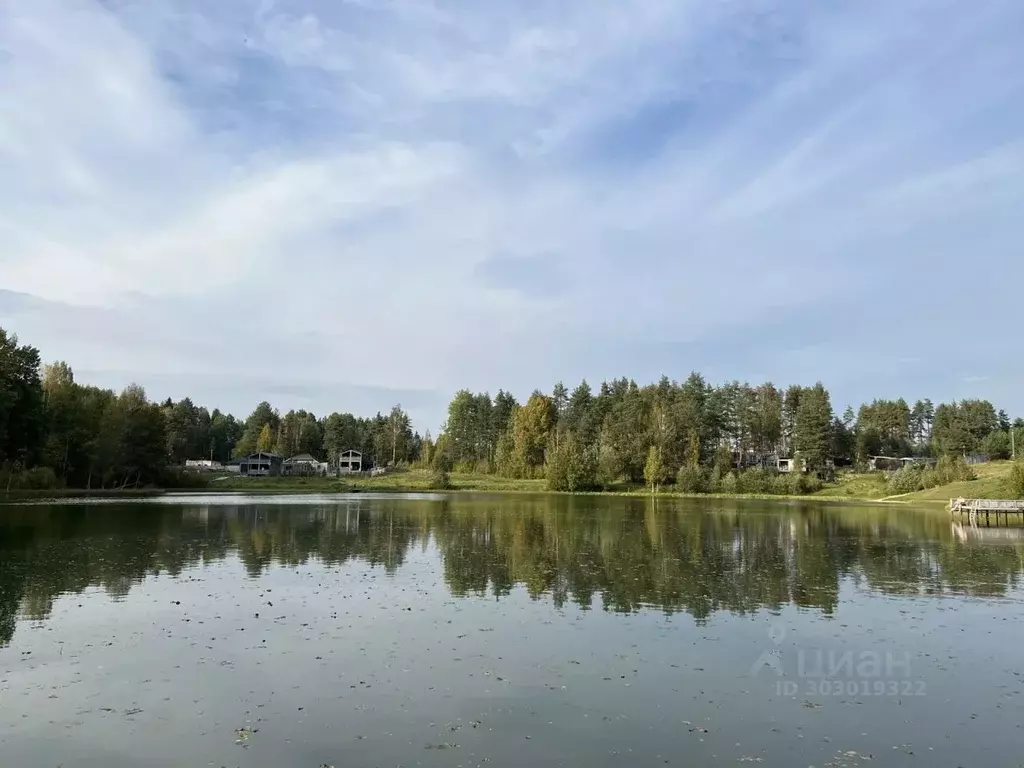 Участок в Ленинградская область, Всеволожский район, Куйвозовское ... - Фото 0