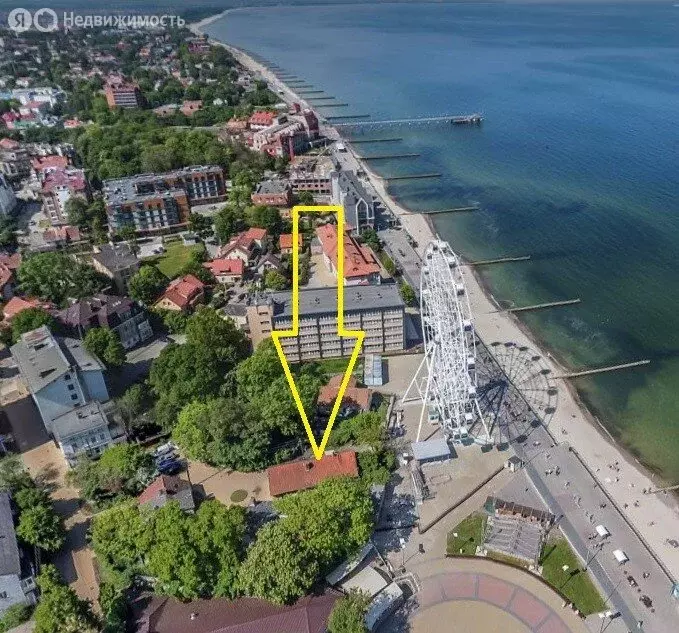 Помещение свободного назначения (166.6 м) - Фото 1