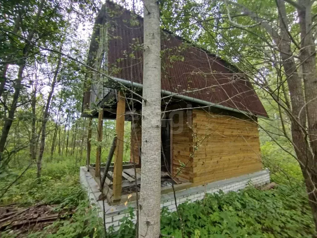Дом в Владимирская область, Петушинское муниципальное образование, ... - Фото 1