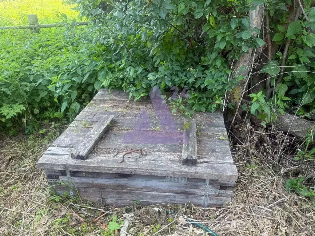 Дом в Алтайский край, Курьинский район, Колыванский сельсовет, с. ... - Фото 1