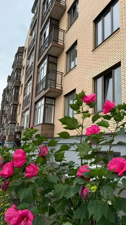 1-к кв. Северная Осетия, Владикавказ ул. Хадарцева, 39к2 (52.0 м) - Фото 1