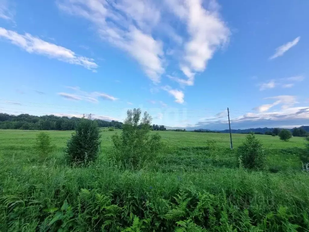 Участок в Алтай, Майминский район, Катунь СТ  (10.6 сот.) - Фото 1