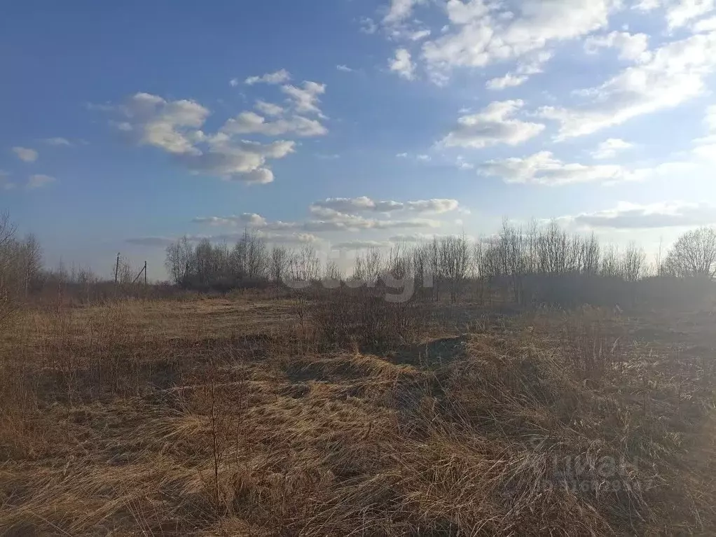 Участок в Костромская область, Красное-на-Волге пгт, пос. Птицефабрика ... - Фото 0