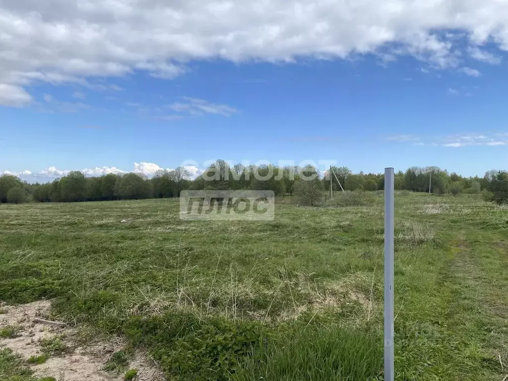 Участок в Ярославская область, Переславль-Залесский городской округ, ... - Фото 0