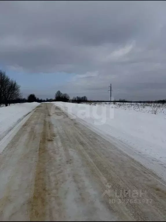 Участок в Смоленская область, Кардымовский муниципальный округ, д. ... - Фото 1