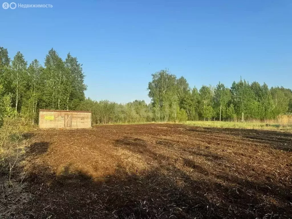 Участок в Тюменская область, Нижнетавдинский муниципальный округ, ... - Фото 1