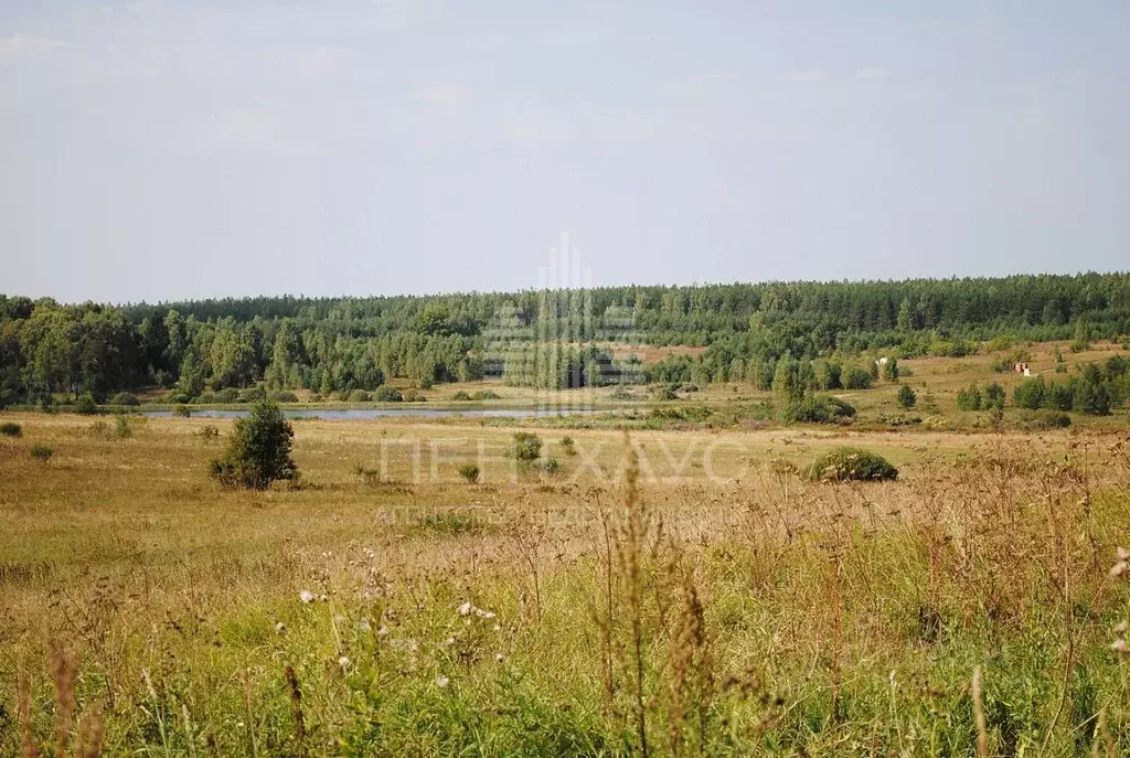 Участок в Владимирская область, Судогодский район, Андреевское ... - Фото 1