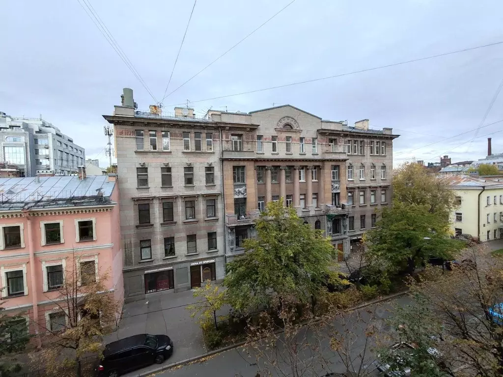 Комната Санкт-Петербург Большая Посадская ул., 9 (19.7 м) - Фото 1