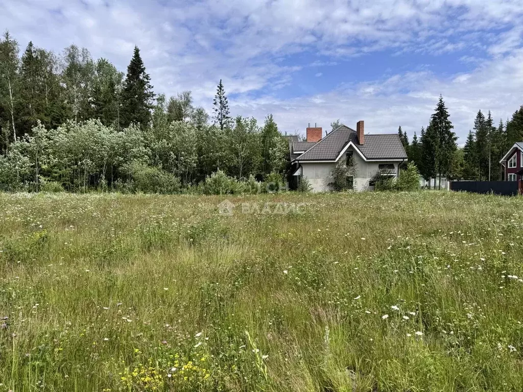 Участок в Московская область, Пушкинский городской округ, д. Могильцы, ... - Фото 2